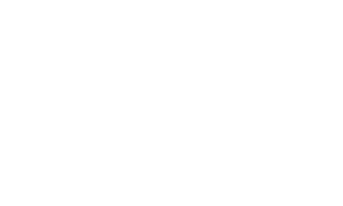 PLM