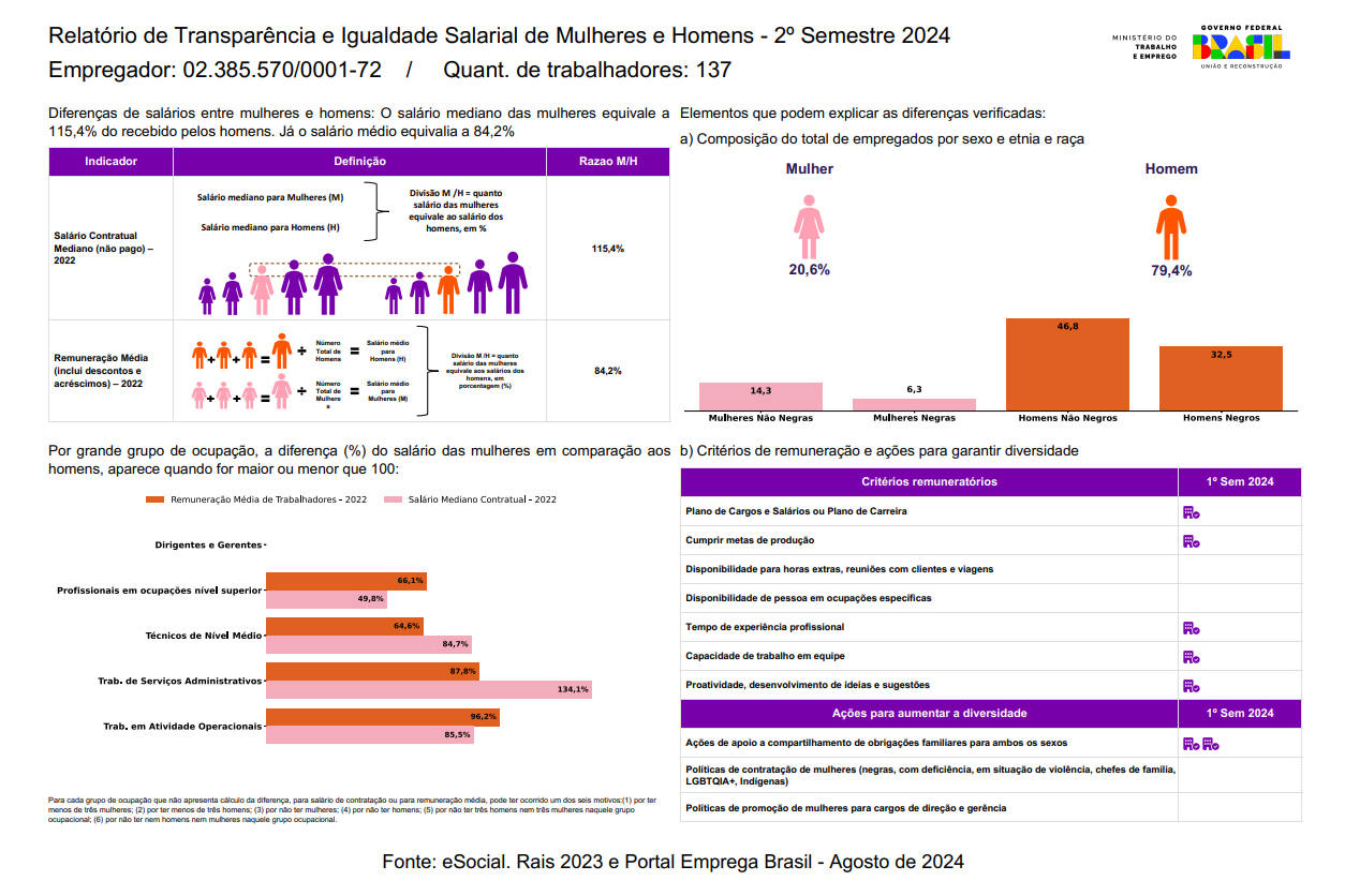 Relatório de Transparência - 2º Semestre de 2024